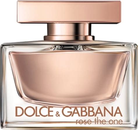 dolce & gabbana rose the one eau de parfum